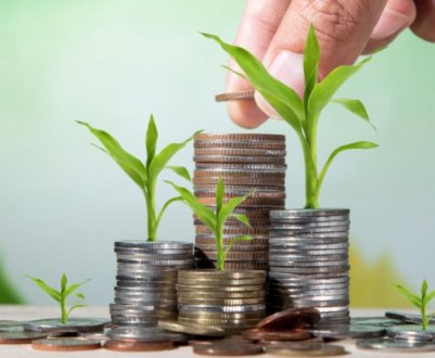 Названий обсяг державної підтримки аграрного сектору в 2021 році