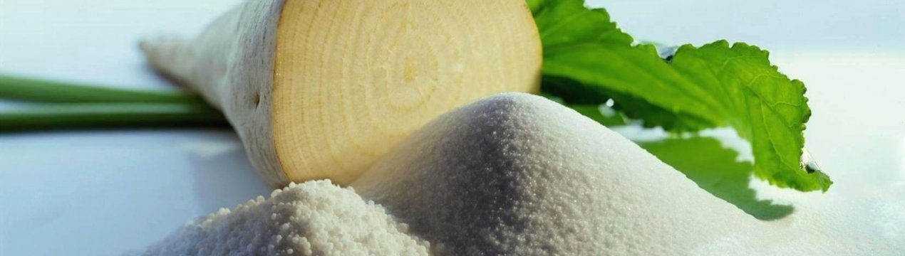 В переддвері Нового року українські заводи переробили 82% цукрової буряків