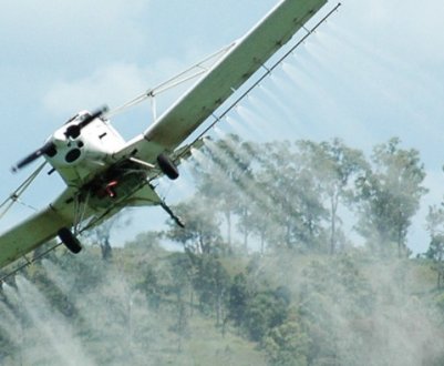 В Україні підводять підсумки використання пестицидних препаратів