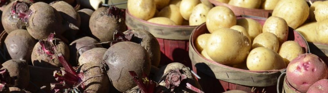 Названа область з найвищою врожайністю картоплі та буряка в 2020 році