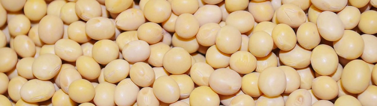 За експорт сої з Росії тепер доведеться платити