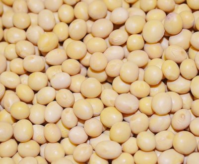 За експорт сої з Росії тепер доведеться платити