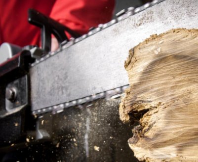 Електропила або бензопила: за і проти