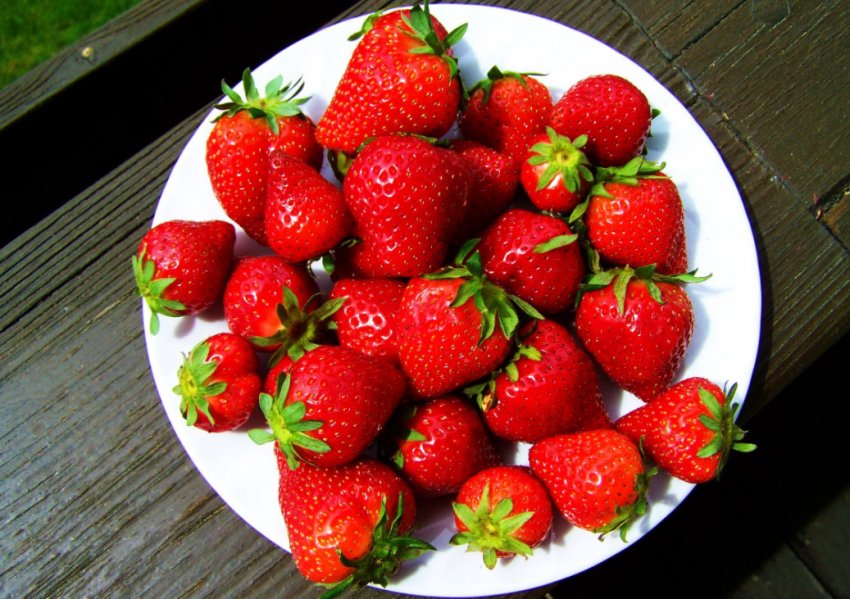 Полуниця Полуниця