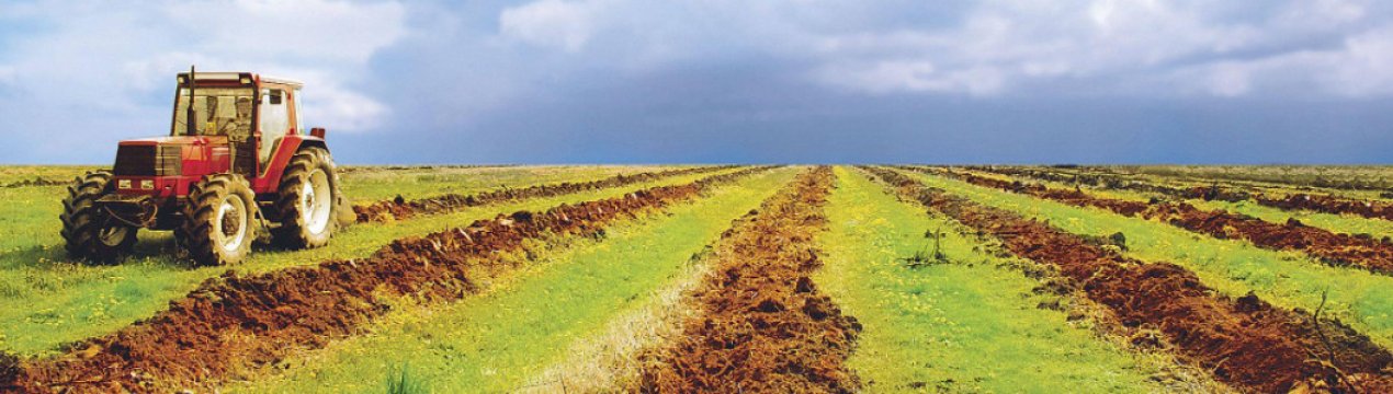 У Держгеокадастрі України зареєстрували 32,1 млн. га земель сільськогосподарського призначення