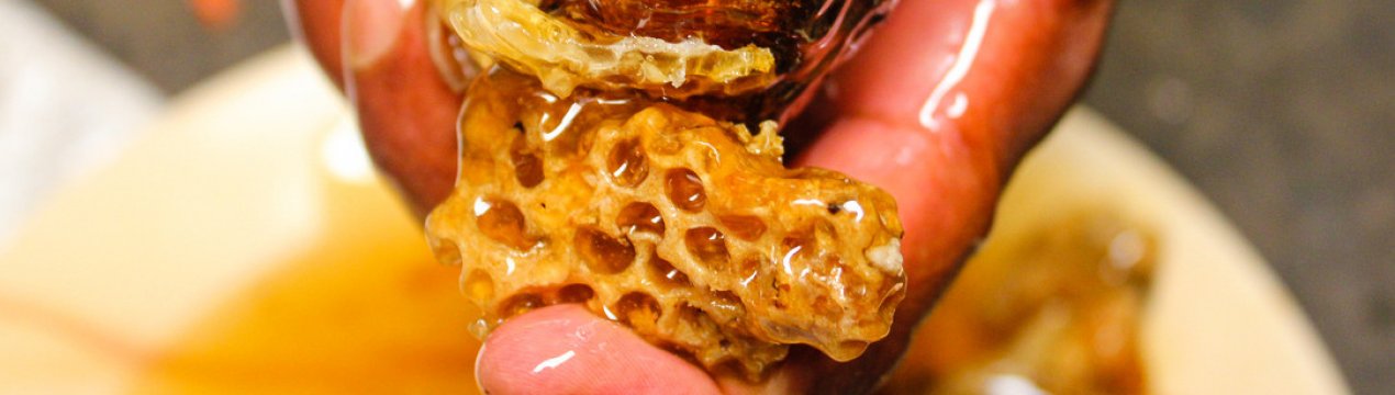 Про користь меду диких бджіл: маркетинг або дар природи?