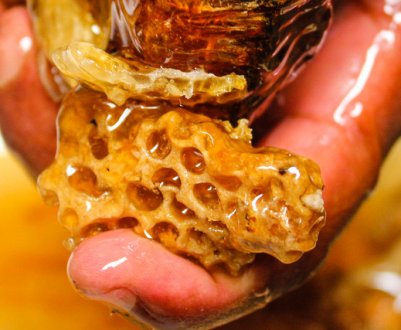 Про користь меду диких бджіл: маркетинг або дар природи?