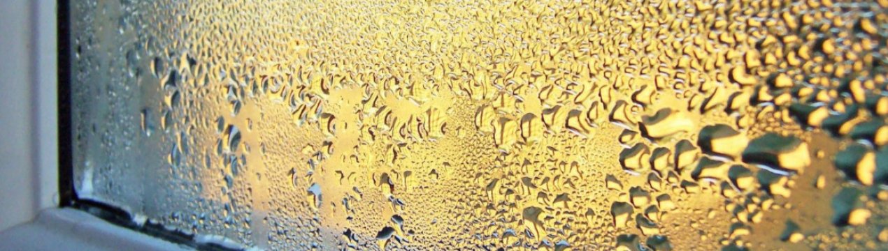Як справитися з запотіванням вікон на дачі?
