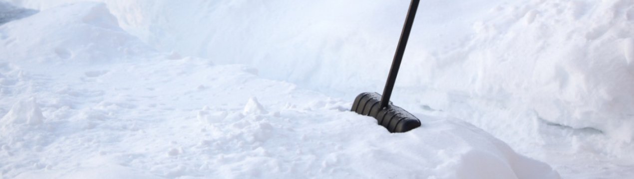 Для чого на городі зберігати або ловити сніг?