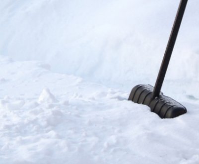 Для чого на городі зберігати або ловити сніг?