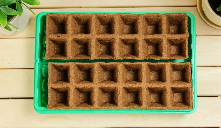 Касети з торфу для розсади