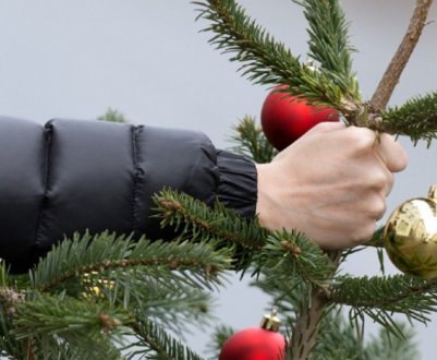 Як можна використовувати у господарстві відслужившу новорічну ялинку?