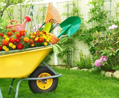 На що звернути увагу під час вибору тачки для саду