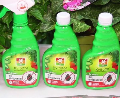 Добрива від Kvitofor: На всі випадки "трав'яного" життя