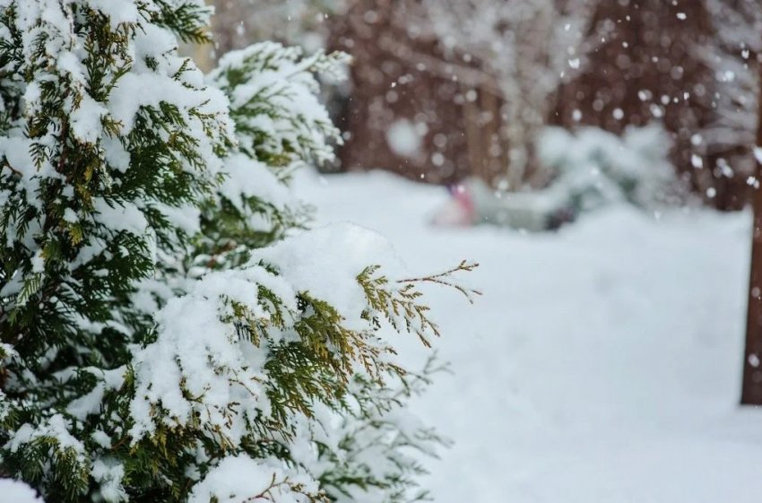 Погода в лютому