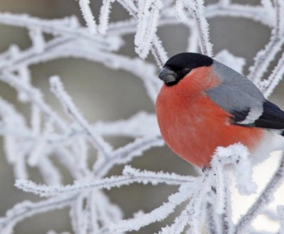 Приміти щодо погоди в лютому і потім навесні