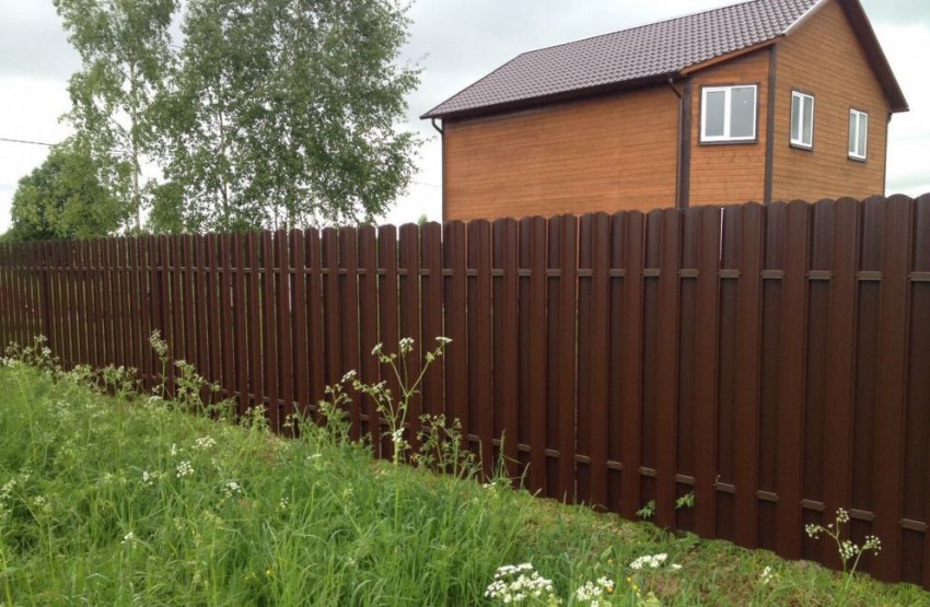 Межа ділянки Межа ділянки