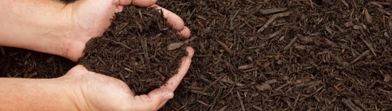 Мульчування - що це і як це працює