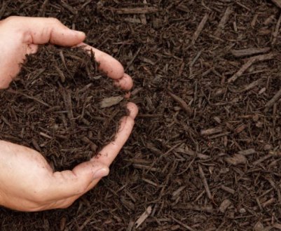 Мульчування - що це і як це працює