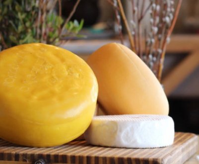 В Івано-Франківській області з'явилася найновіша сирозавод