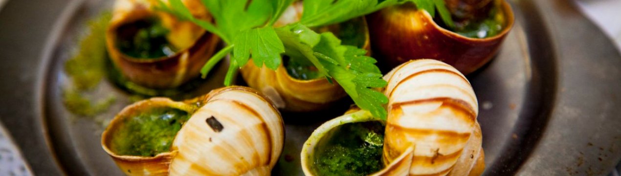 Запорізькі фермери не припиняють дивувати стравами з вуликів