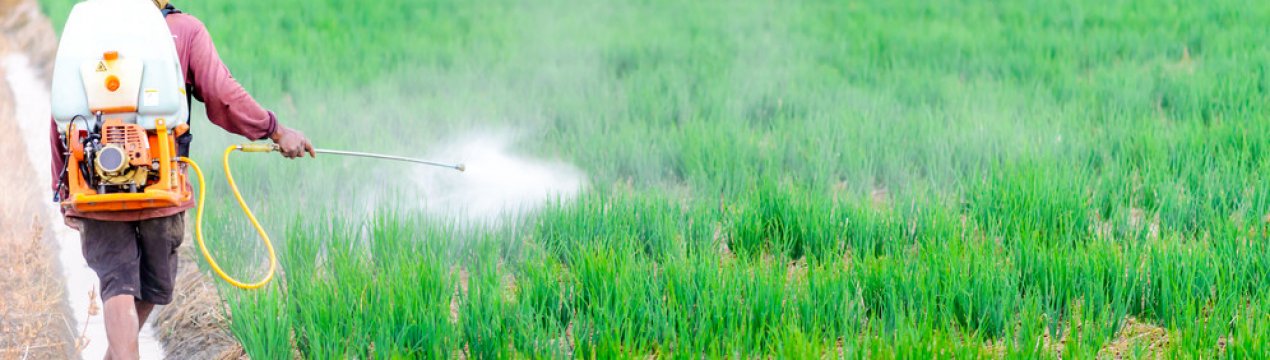 В Україні затвердили нові правила дослідження пестицидів