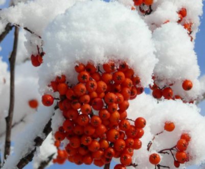 Що говорять народні прикмети про сніг зимою? Яка буде весна і літо?