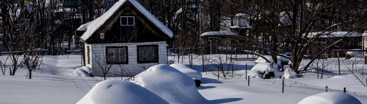 Сніжна зима: користь і шкода для саду і городу