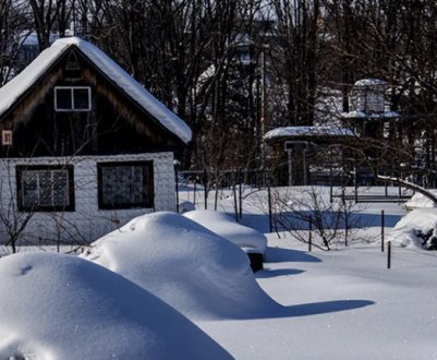 Сніжна зима: користь і шкода для саду і городу