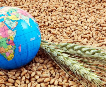 В поточному сезоні експорт зерна з України перевищив 30 млн. тонн