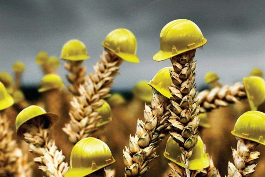 Агрострахування в Україні