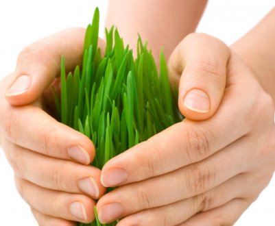 В найближчий час в Україні запрацює нова система агрострахування