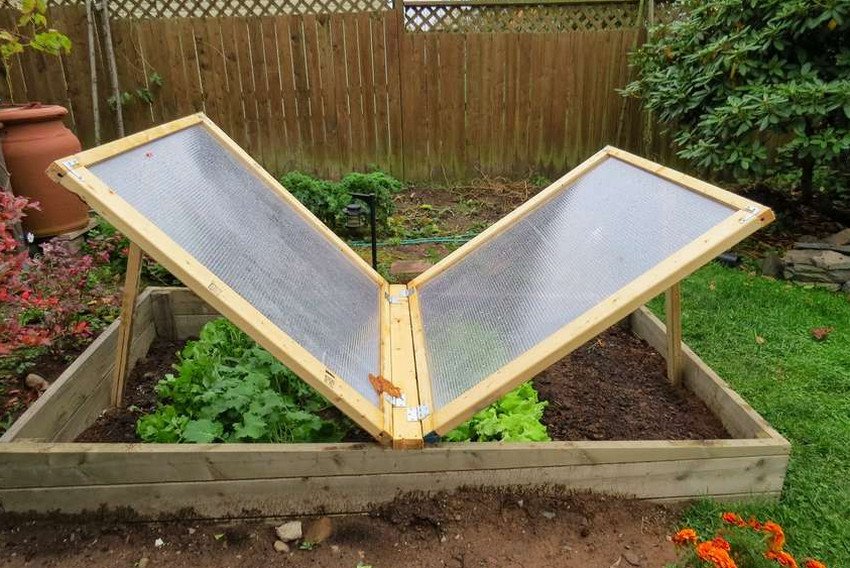 Місце для парника в дворі