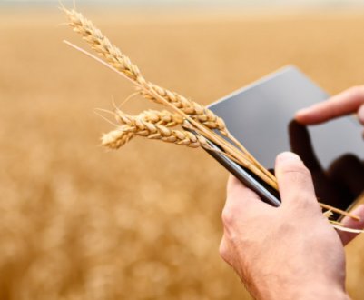 В Україні зареєстрований законопроект щодо вдосконалення агрострахування