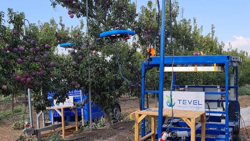 Літаючий робот для збору фруктів