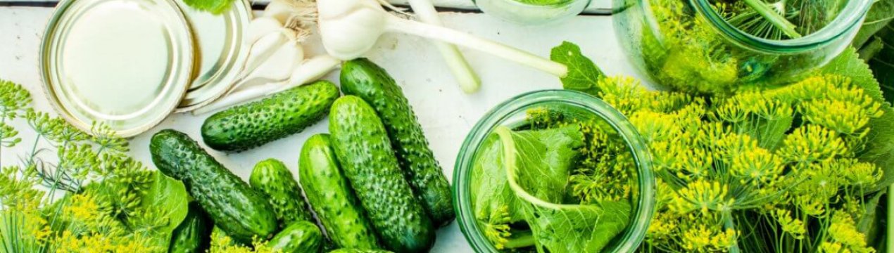 Визначені найсмачніші гібриди огірків для консервації