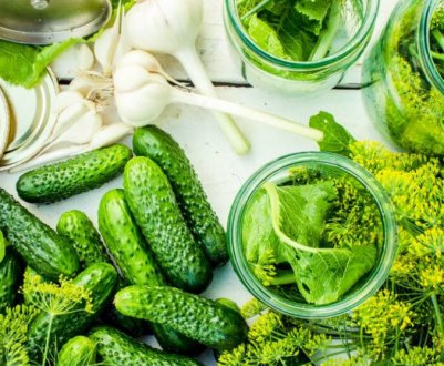 Визначені найсмачніші гібриди огірків для консервації