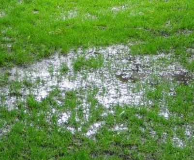 Як боротися з калюжами на подвір'ї?