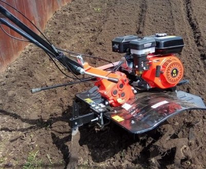 Що краще: висісти вручну, чи перекопати трактором?