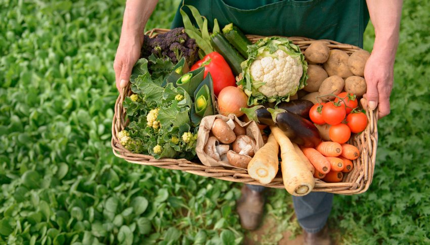 Органічне виробництво Органічне виробництво