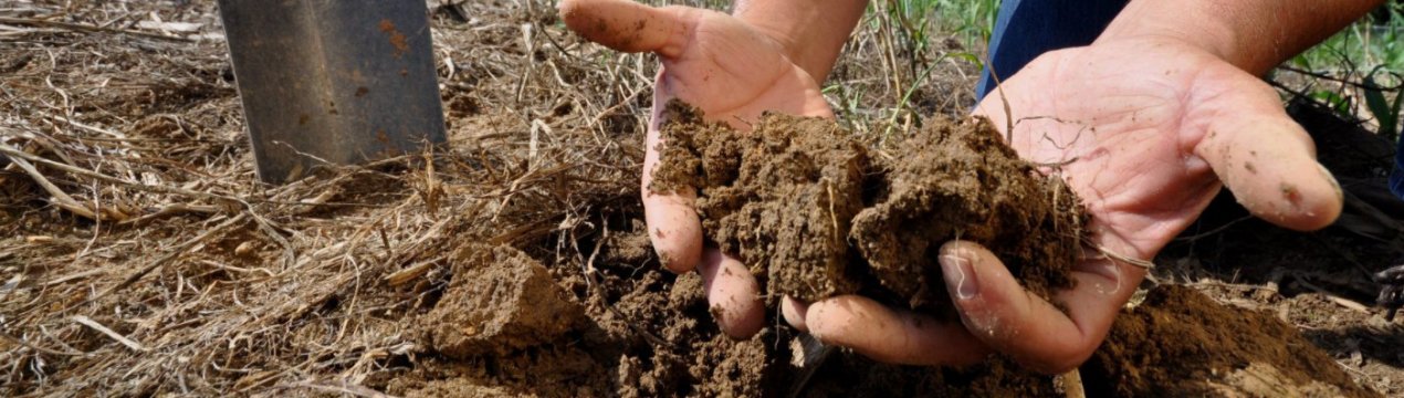 Як визначити тип ґрунту на ділянці і як це впливає?