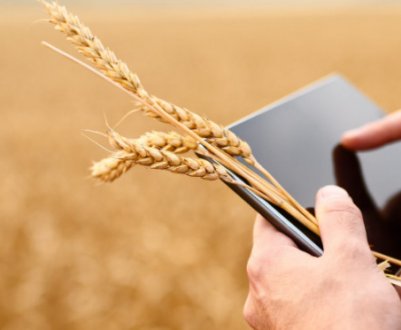 Україна збільшить експорт сільськогосподарської продукції в країни Центральної Азії