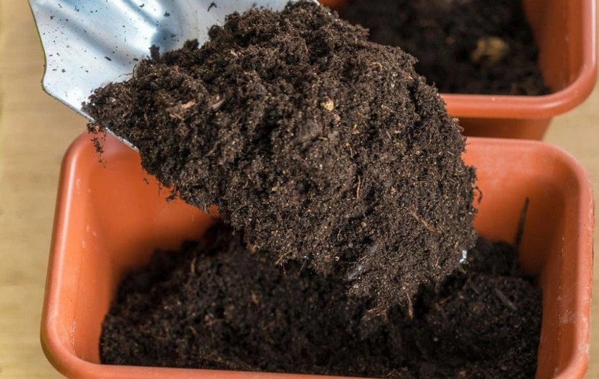 Ґрунт для розсади Ґрунт для розсади