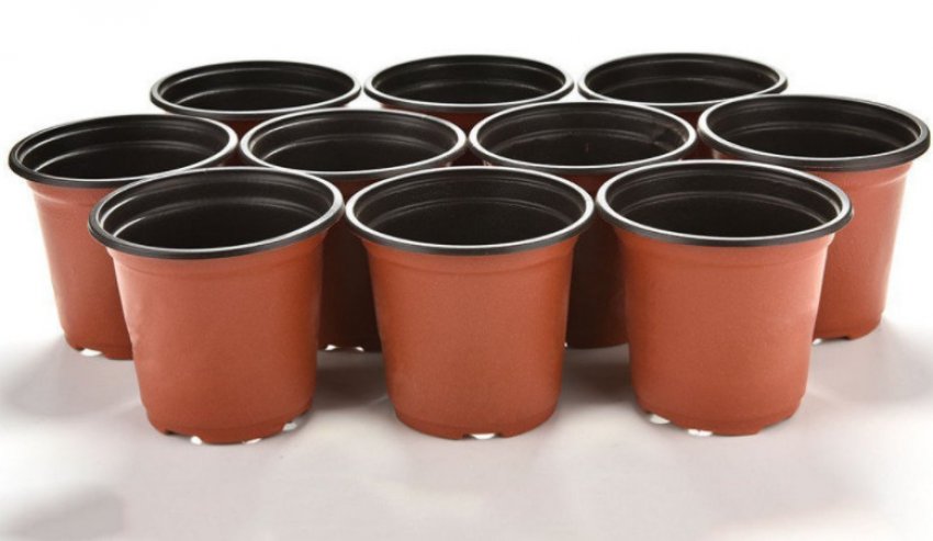 Горщики для розсади Горщики для розсади
