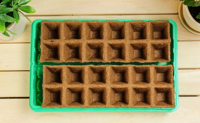 Касети з торфу для розсади Касети з торфу для розсади