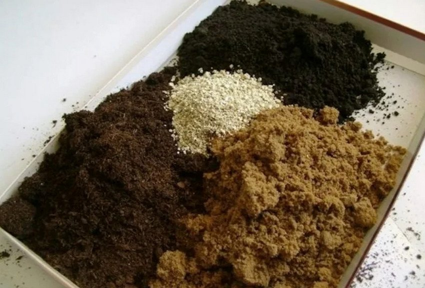 Ґрунт для розсади Ґрунт для розсади