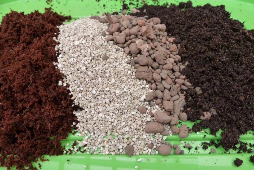 Склад ґрунту для розсади Склад ґрунту для розсади