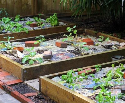 Куди діти непотрібну макулатуру? Застосовую в огороді без шкоди для врожаю