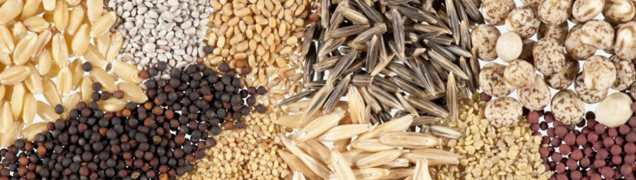 Таїланд зацікавлений у імпорті кормів українського виробництва