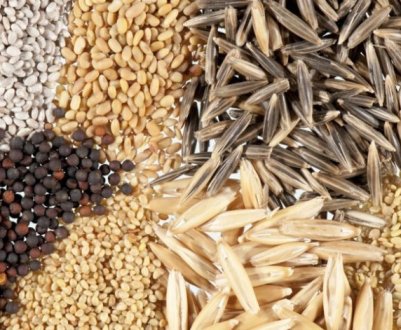 Таїланд зацікавлений у імпорті кормів українського виробництва